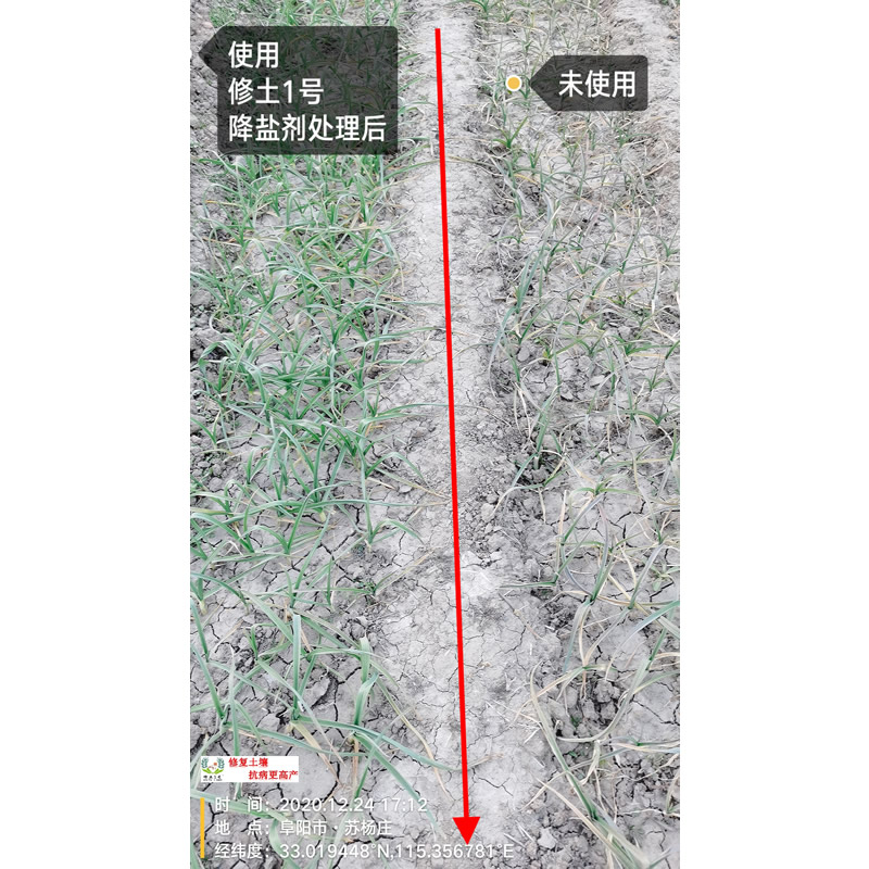 修土1号降盐剂使用处理