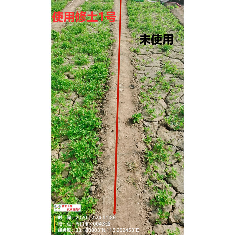 使用修土1号效果