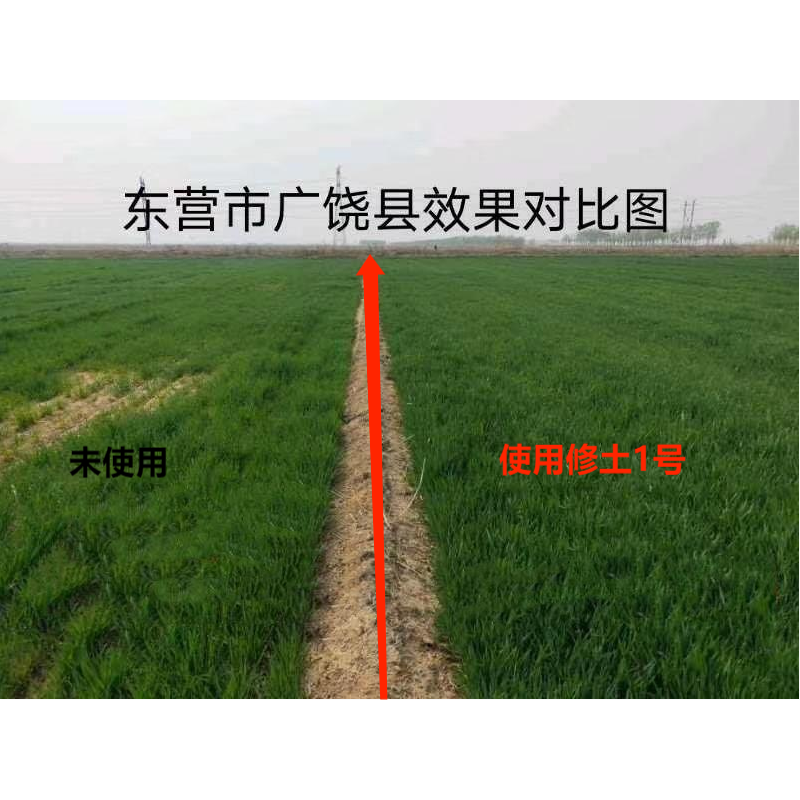 东营广饶使用修土1号效果