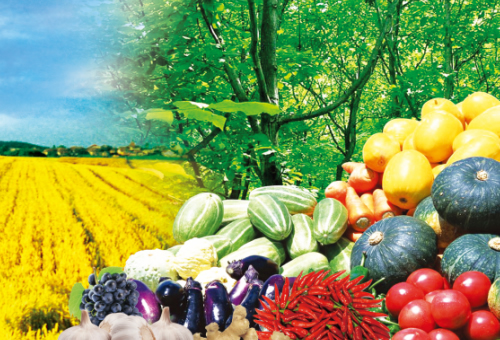 修土一号进出口（青岛）有限公司